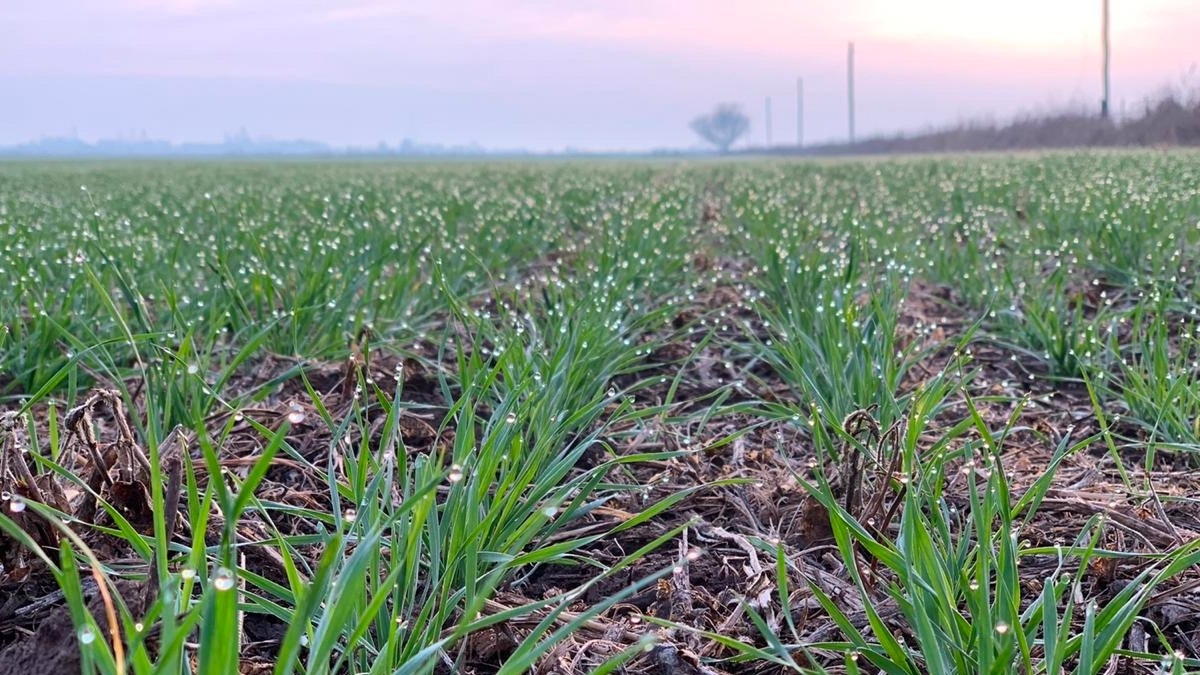 Agroecología  