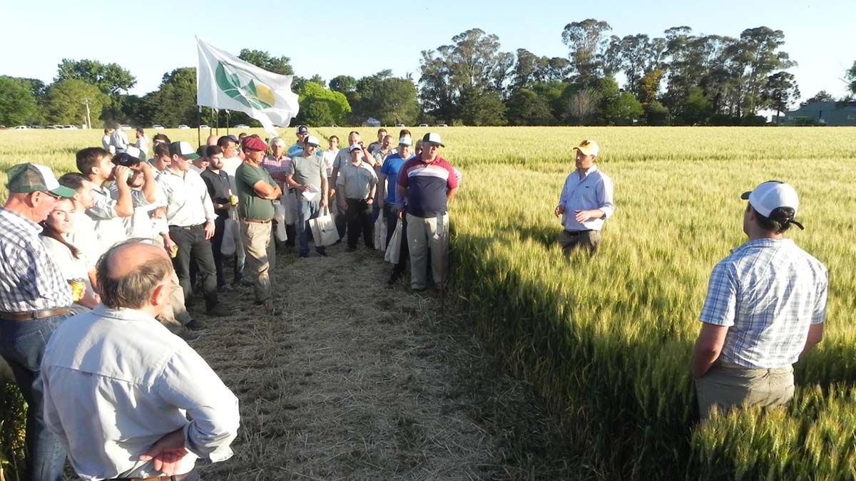 Jornada a Campo: Ensayo de Trigo “2021-2022” 